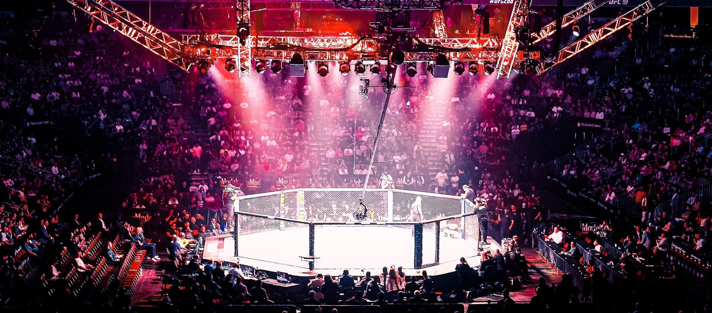 UFC 334 MMA event at Madison Square Garden, New York, USA — Nov 14